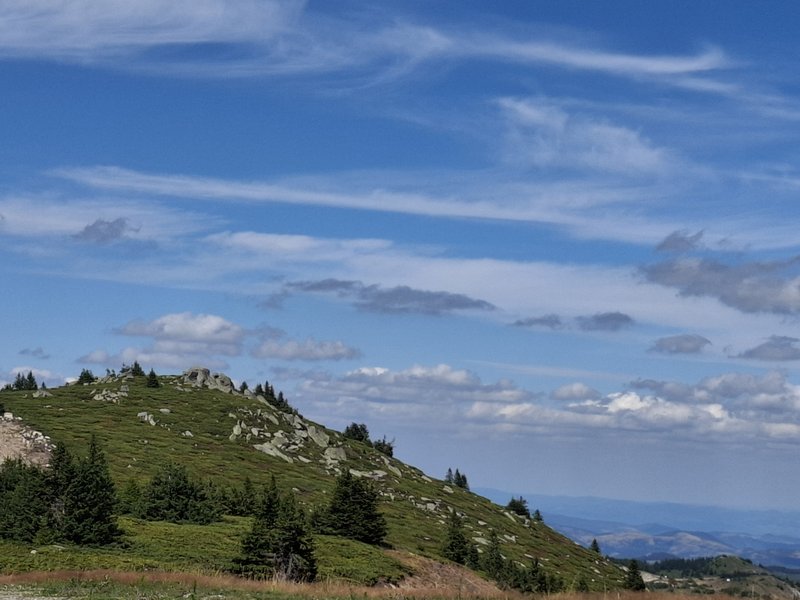 Slika