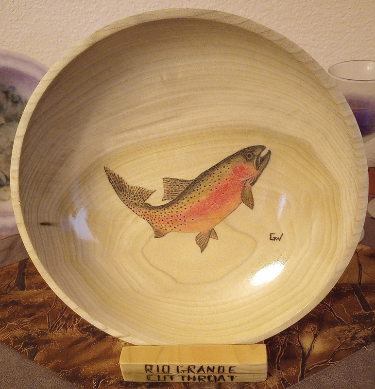 IMG_20240807_193433197~2