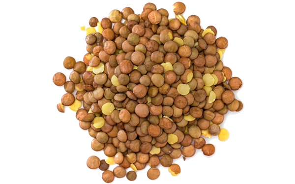 🥈 Lentilles