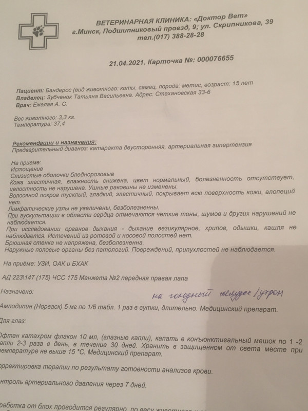 CA6BBBB4-5B95-41BE-909C-368E45E17F11