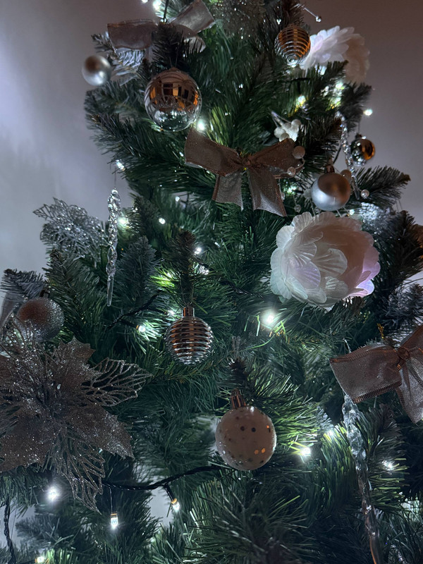 photo 2025 12 29 23 42 54