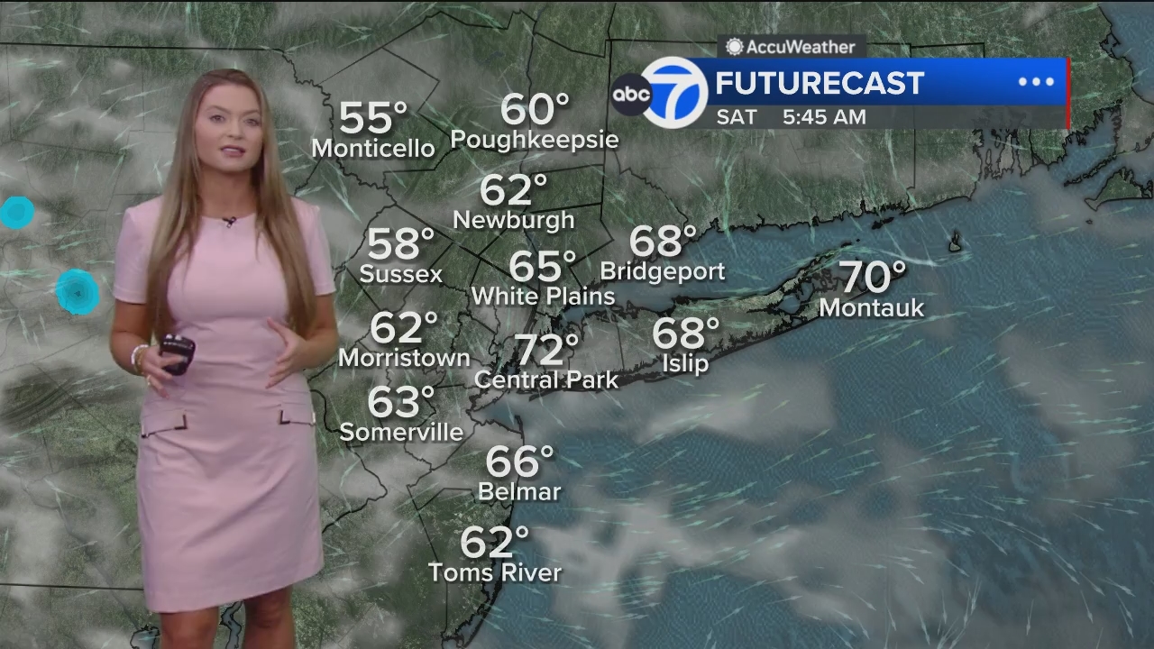 Eyewitness News Mornings at 10_20240719_15001600.ts_snapshot_00.35.02.416