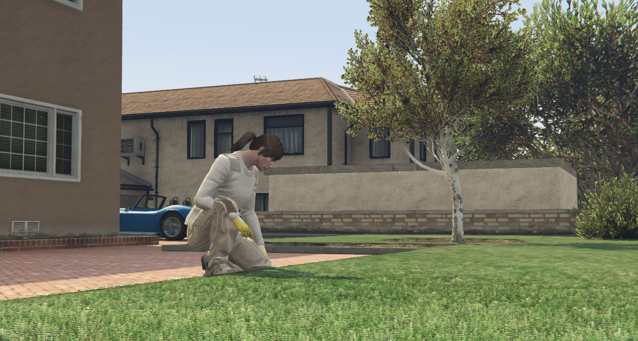 ca4.png