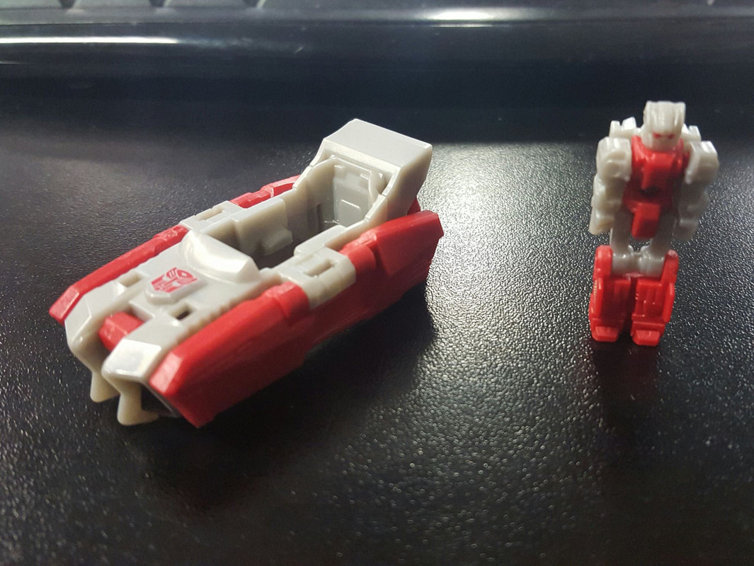 13323988_1030318070393068_2019264415_o