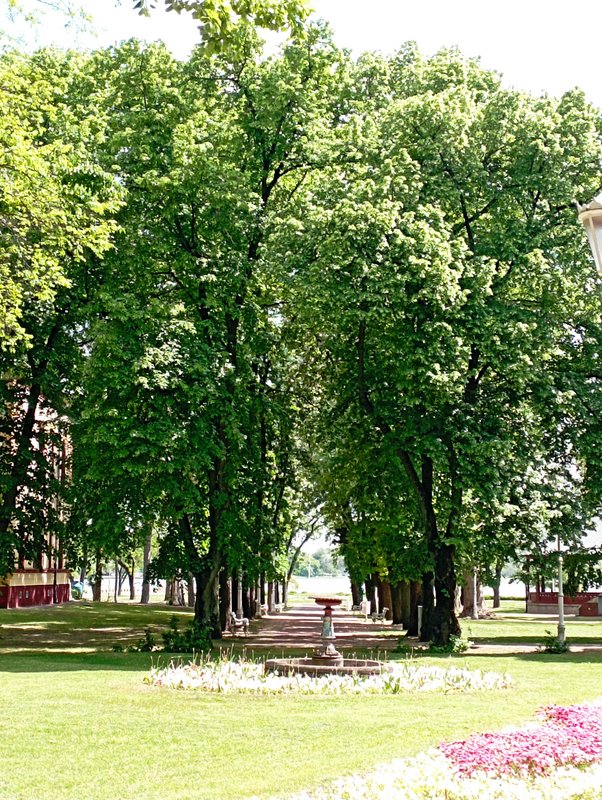 Slika