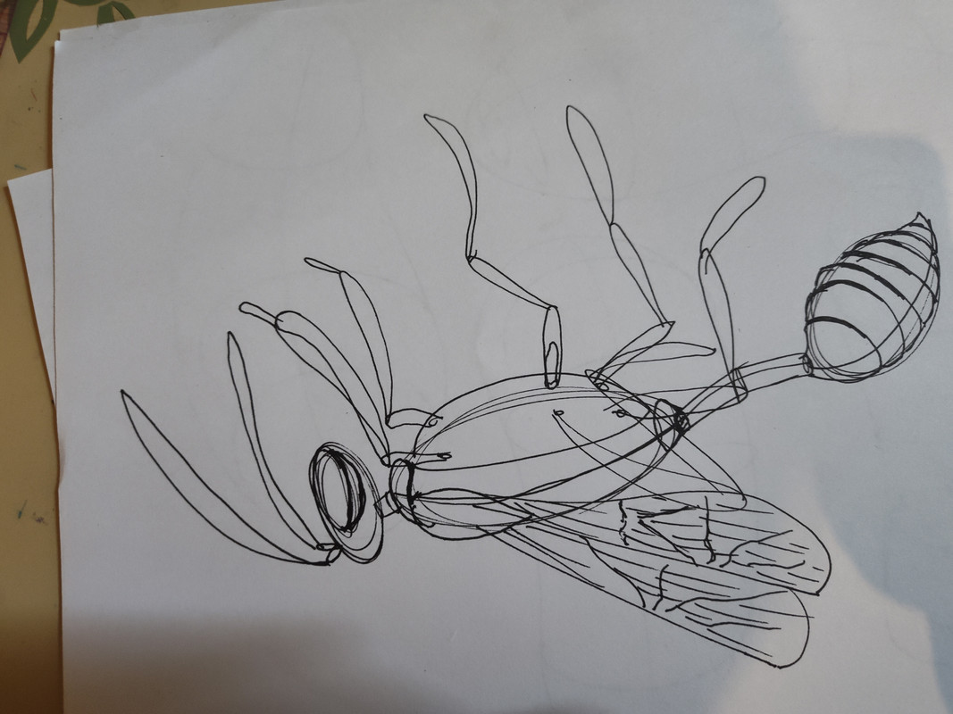 IMG_20240228_132236039