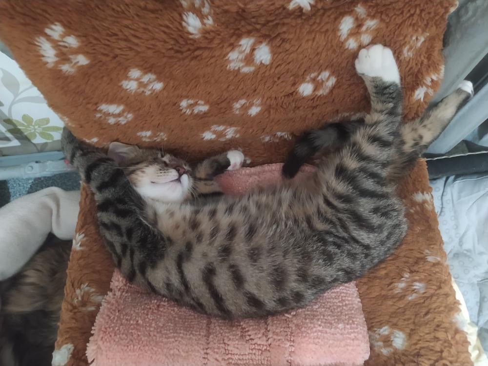 A0CE8D91-8042-433E-8365-CBADC3237F46