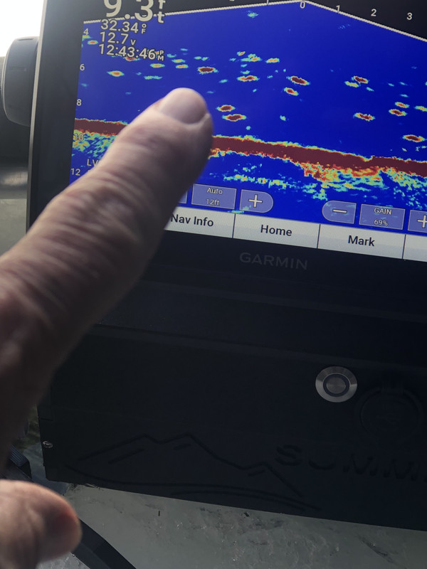 54E43D95-2367-4E58-ADC6-A16CEDDAB207