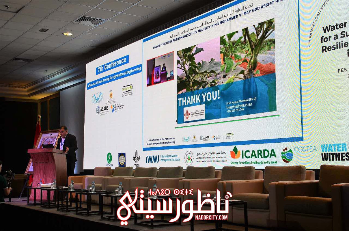 568259720-1320671812546199-7918657628893739311-n