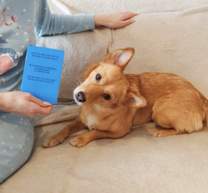 IMG-416ac95c2ab566e2ee1a4559d9889cdc-V