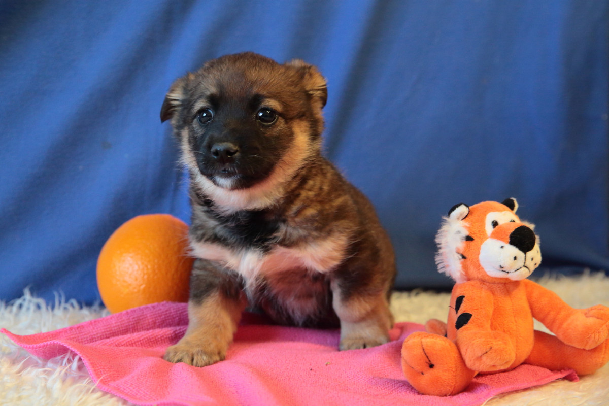 15B628F1-BF90-4FCF-AC42-9F0D8A63E623