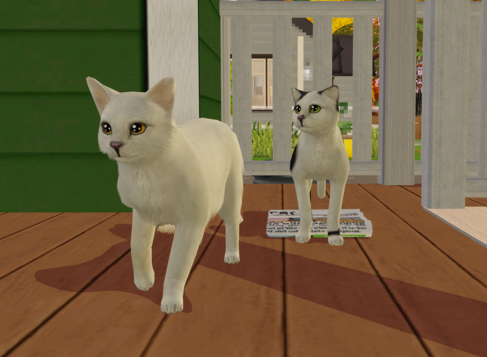 Sims2-EP9-RPC-2022-04-06-20-33-41-57