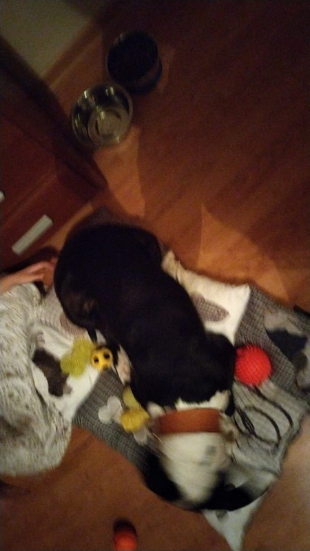 628E2F78-AE34-408D-B389-289A97547D78