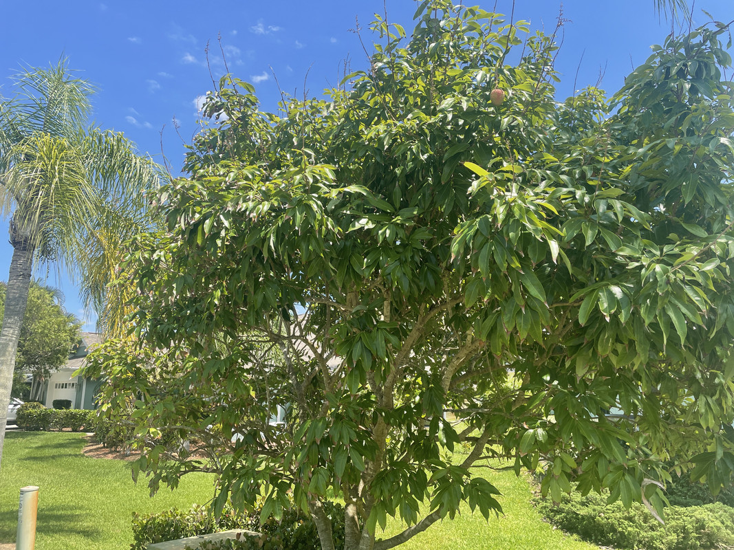 DC7C18B5-046D-4751-9EE6-439AE259F705