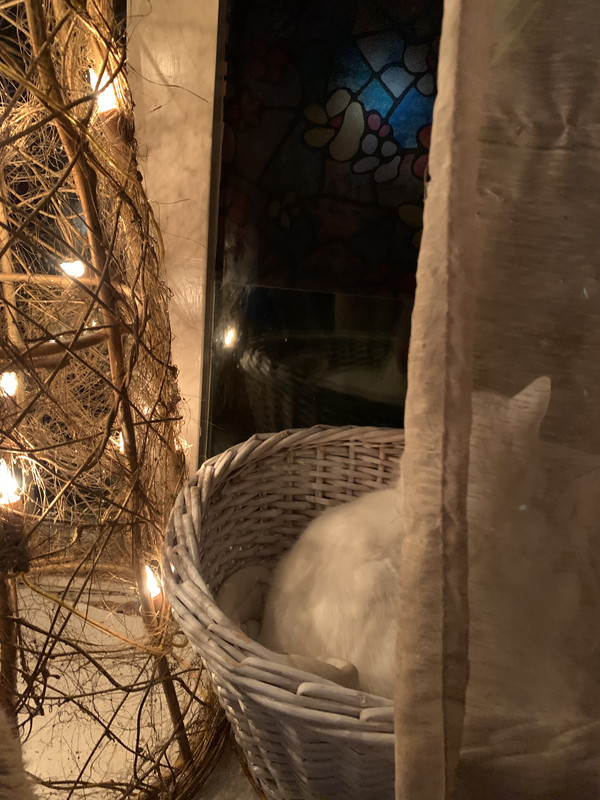 8149300A-0F9B-4DCC-8CA2-08B328C7FEAA