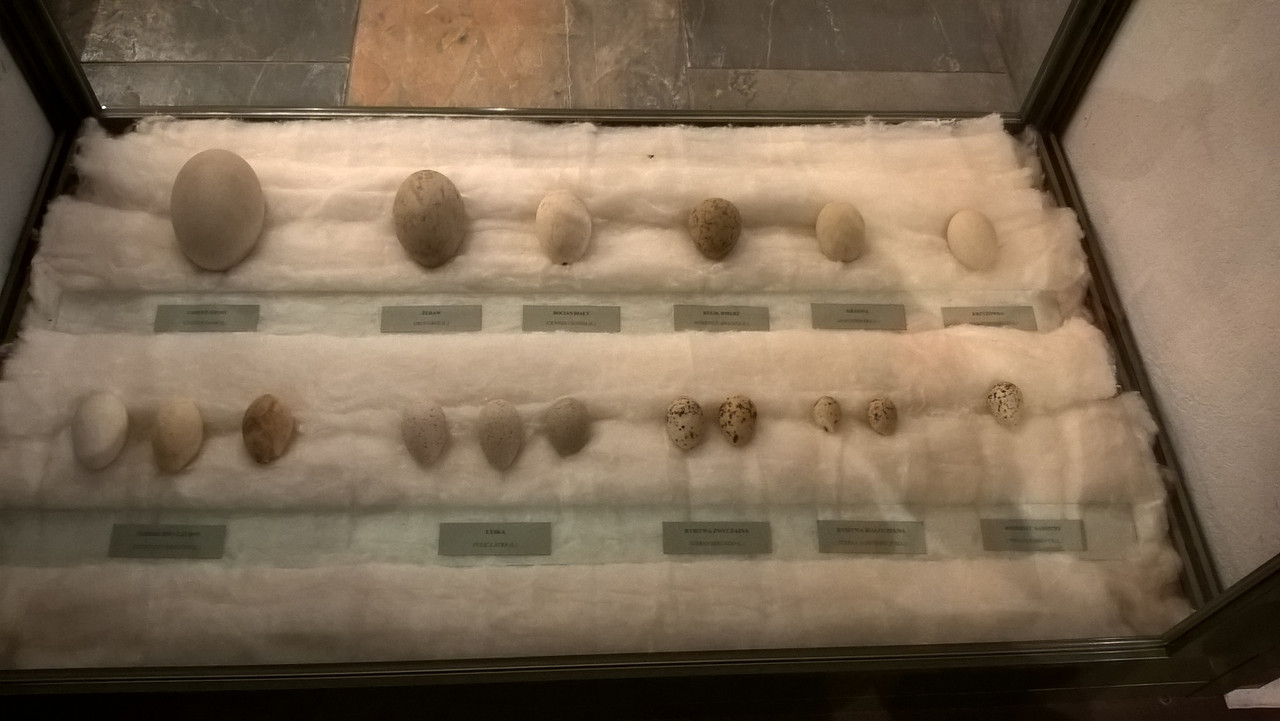 04 - WP_20160528_14_12_10_Pro (Yvonne)