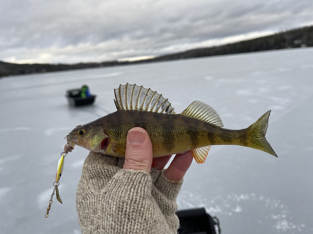 92662F05-FC72-44E7-846A-6ABC9EE6AE2E