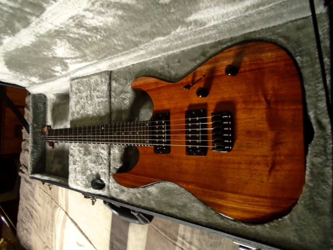 ESP-LTD M1000H-Koa