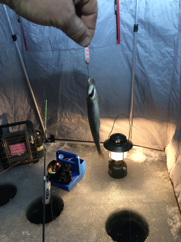 2C7E26D3-FED1-4FA8-8783-881E73462B3F