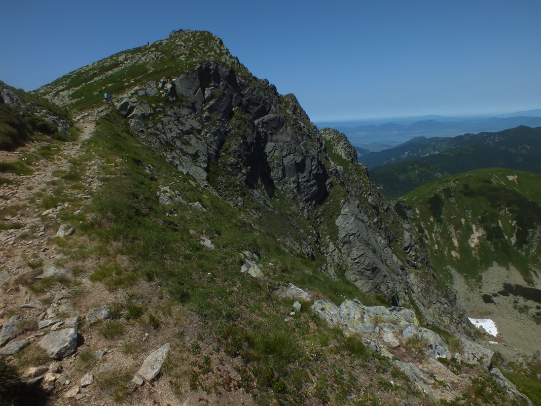2019_0630DUMBIER0085