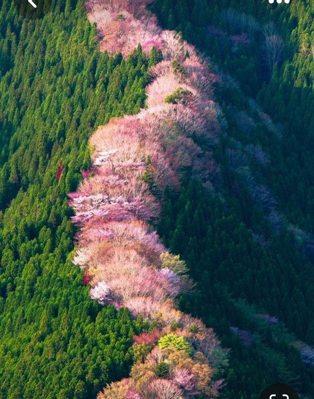 Screenshot_20230424_004012_Pinterest