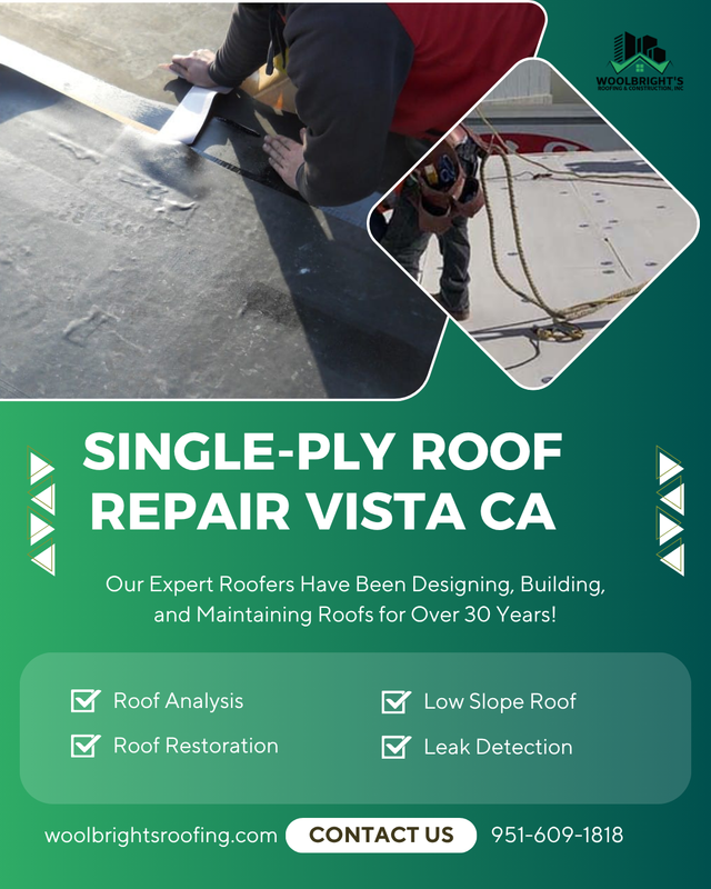 Protect Your Investment with Expert Roof Repair