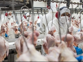 Китай до конца года может открыть рынок для украинских производителей курятины