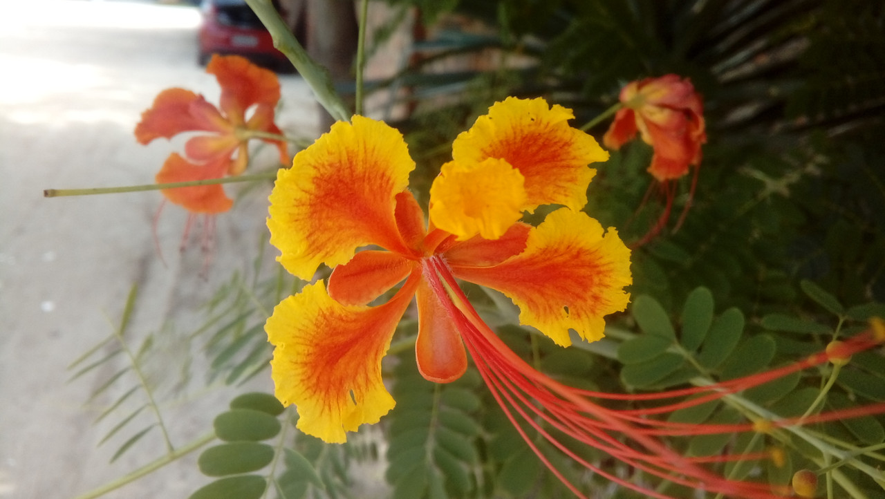 20180520_123518