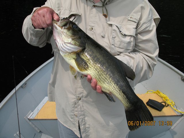 IMG-0446.jpg