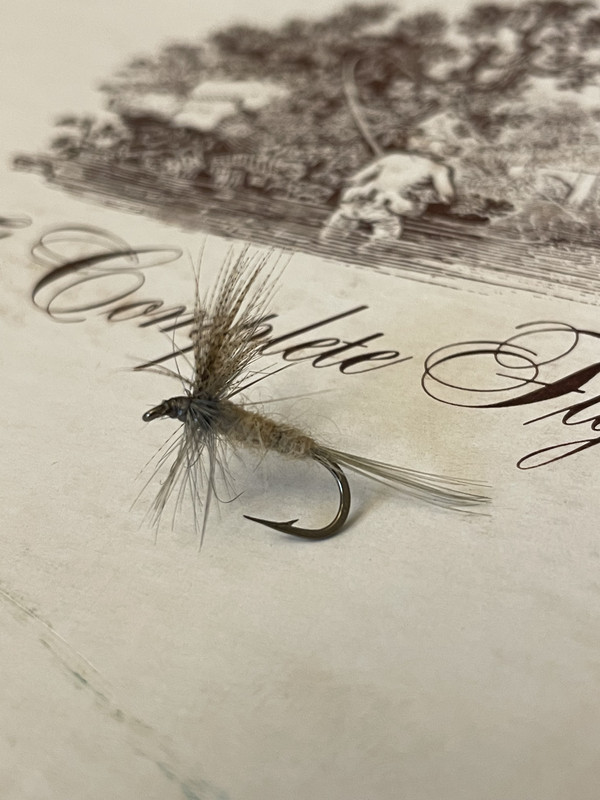 6102DBC6-239C-468F-8675-651E45B77F67