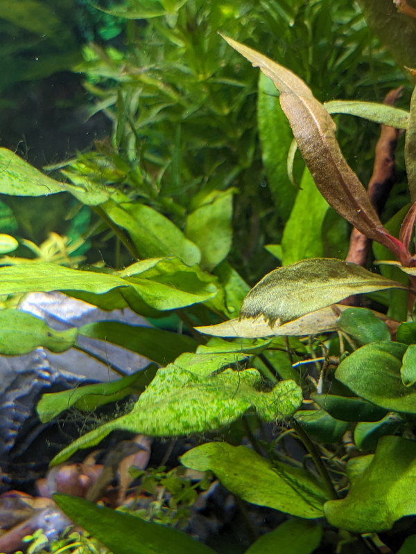 PXL_20231003_131859733