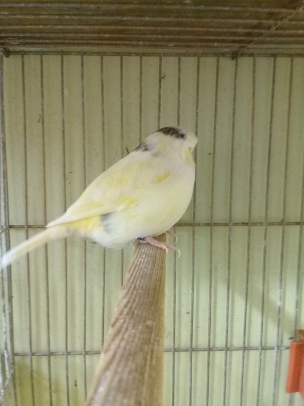 ٢?١٨١?١٥_١٥٥٧٣٤