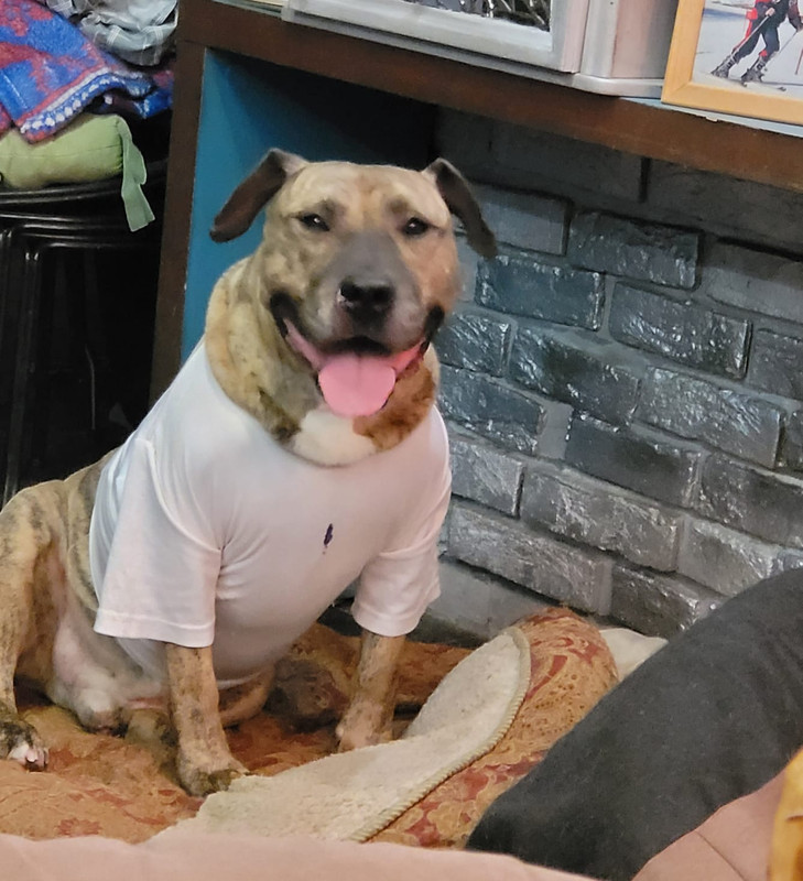 9F61D668-389C-407C-BEC2-13F3C3D019C8