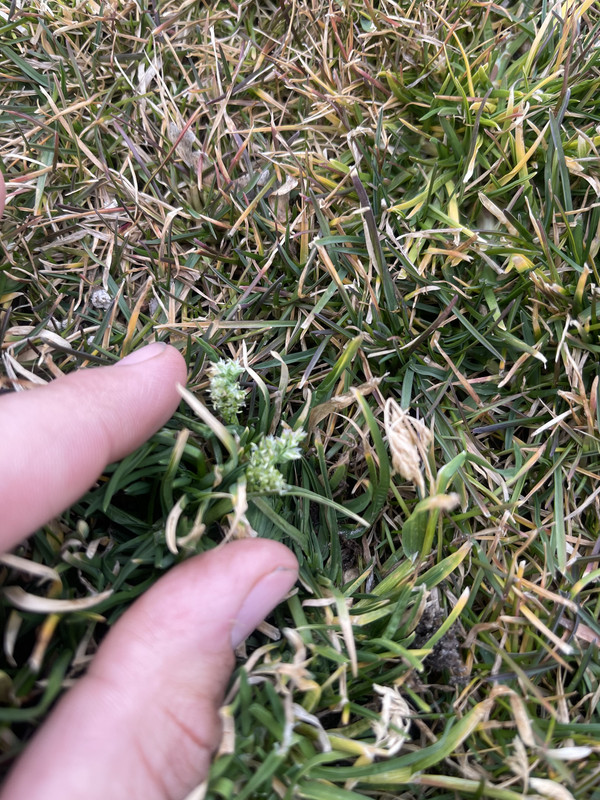 54DC5525-EC9E-4967-A89A-DE00D73428AF