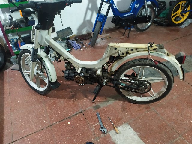 puch - cambio de luck puch maxi IMG-20200311-195755