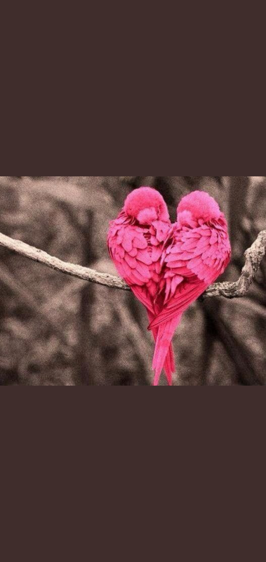 Screenshot_٢٠٢١٠٥٢٢-١٢٠٠١٥