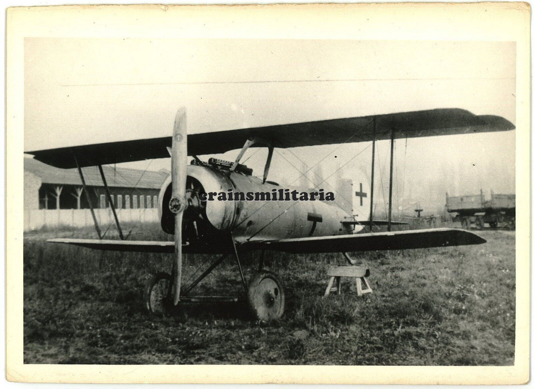 Archiv Foto Flugzeug Pfalz D.VII am Flugplatz (1)