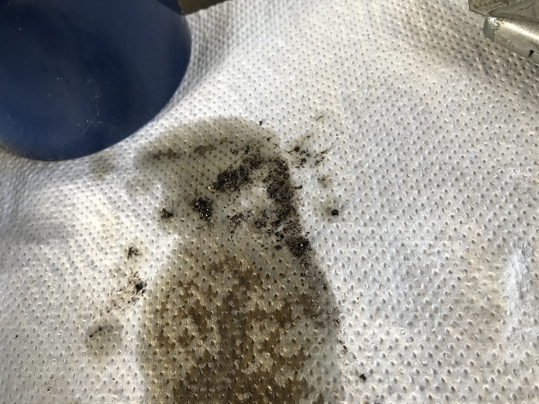 1AB41D73-1867-4D28-AE63-AAA517C521F3