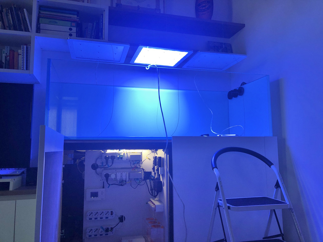 DECE67FF-D959-4989-97F2-BC6378B27FE2