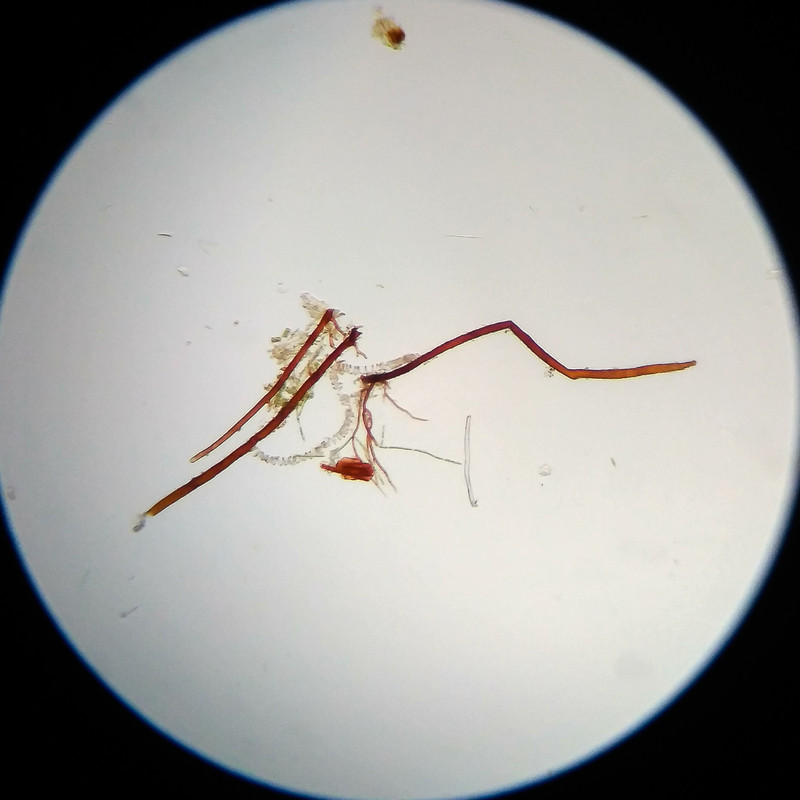 IMG 20250617 115212 HDR