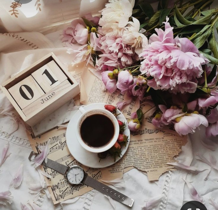 Screenshot_20230616_141850_Pinterest