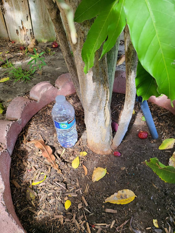 FB_IMG_1691903385257