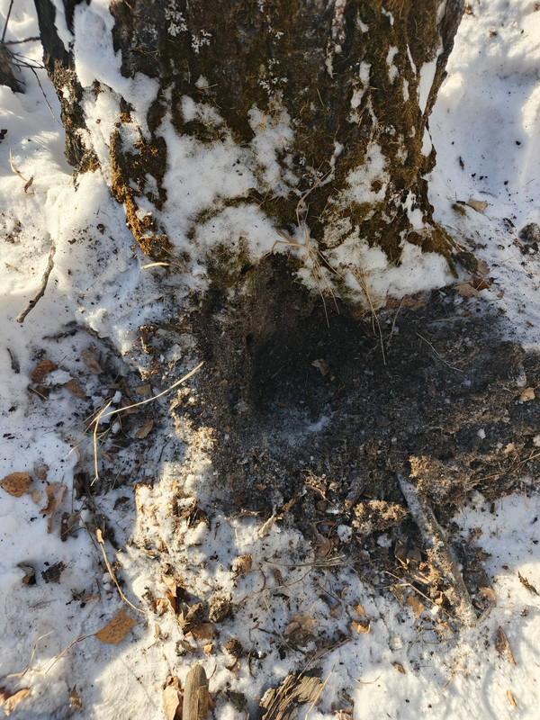 IMG 20260107 124945 880