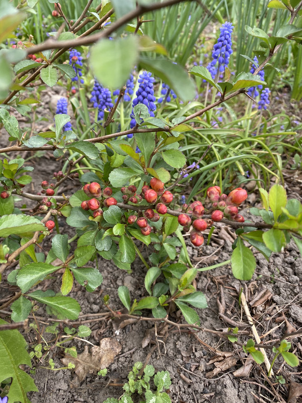 9693F71A-F5A7-4E71-B0C0-504A8C575A94