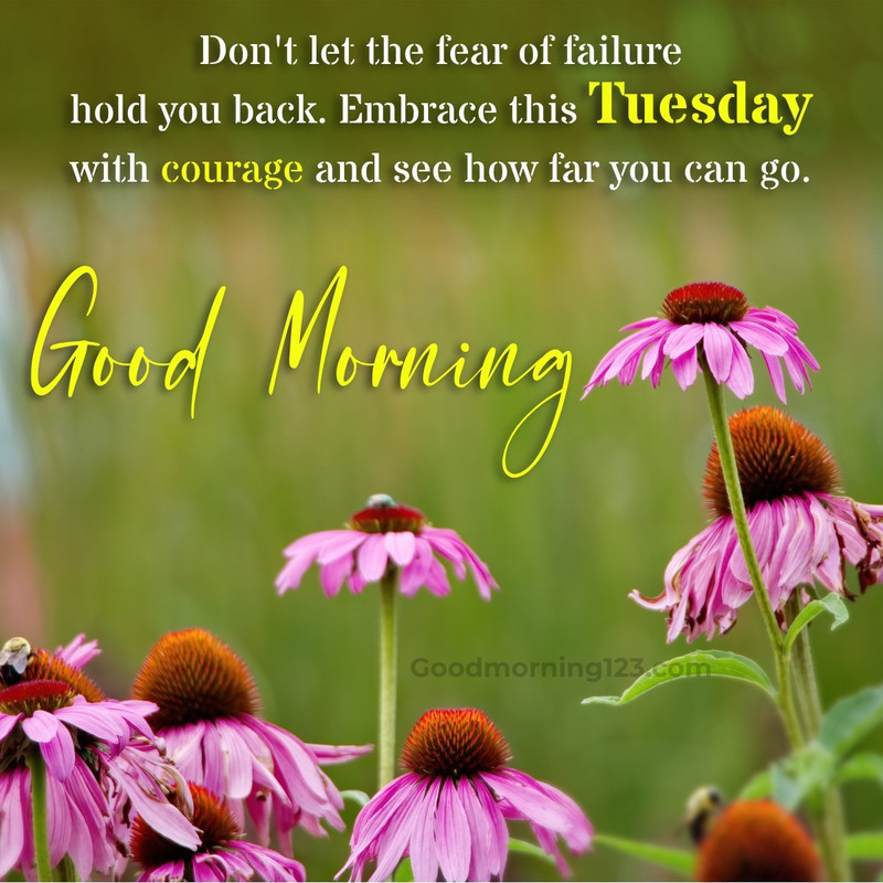 Inspirational-Good-Morning-Tuesday-Image