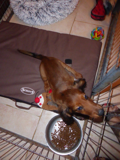 [Image: P1050409.jpg]