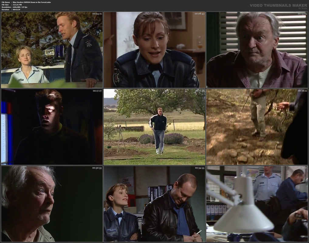 Blue Heelers S09E04 Down in the Forest.mkv