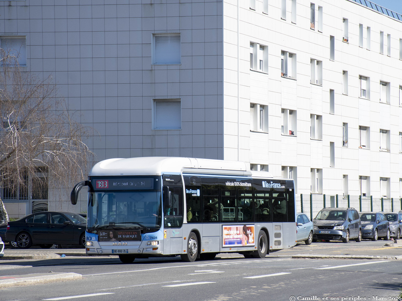 DSC 1811