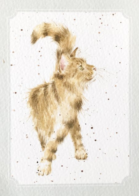 11C2F577-125D-49CF-8AE3-BAFFD95F8505