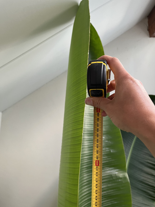 57F3632E-FEAB-4AEA-B3C8-93FF6EA6B379